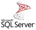 Microsoft SQL Server Standard 2022 English 30 Clt ESD