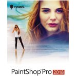 PaintShop Pro 2018 Corporate Edition License 5-50 [LCPSP2018ML2]